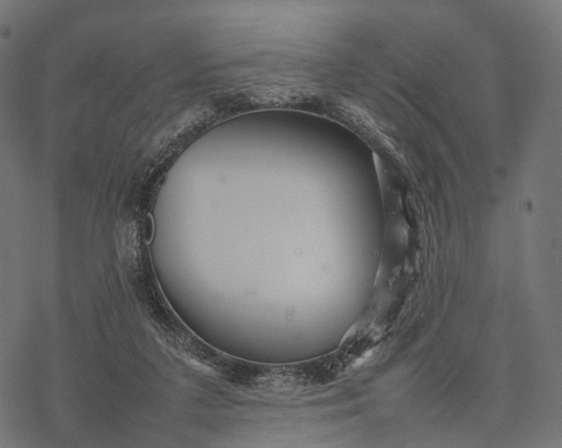 X0000077290211200611031558