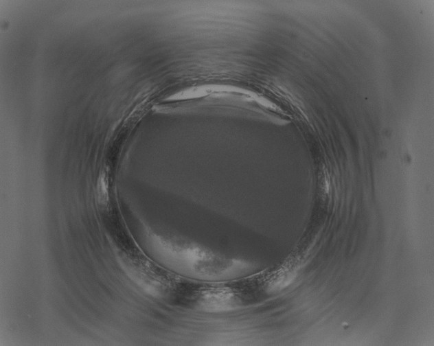 X0000077290214200611031558