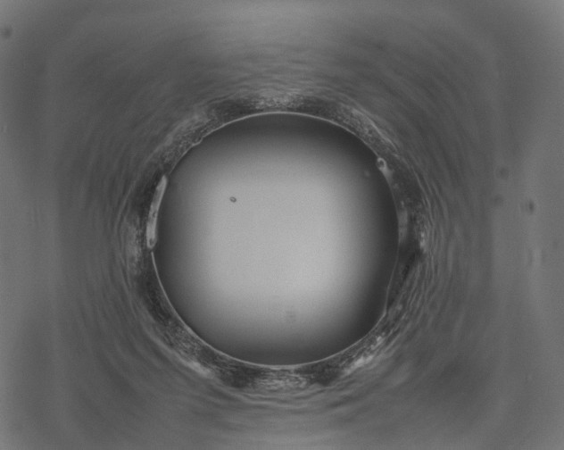 X0000077290215200611031558