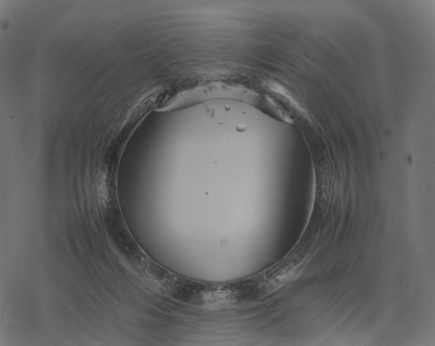 X0000077290216200611031558