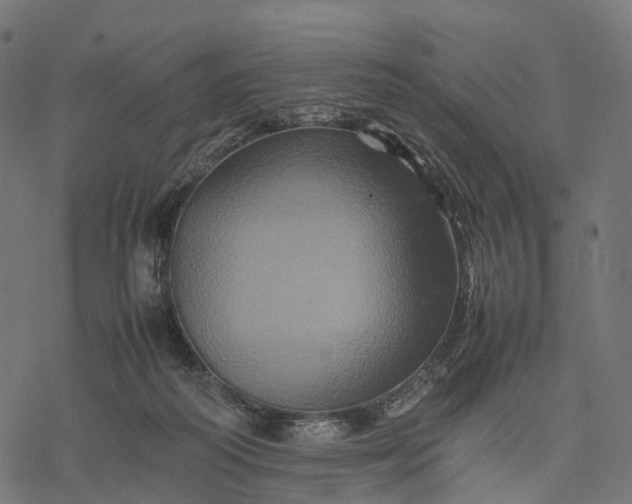 X0000077290218200611031558