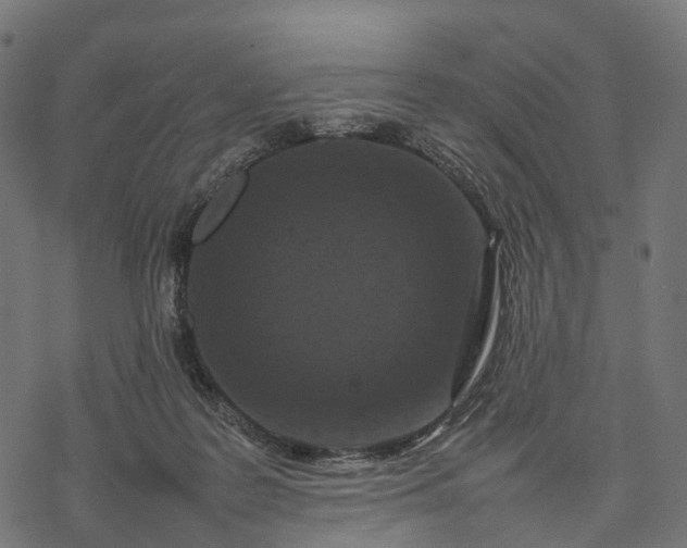 X0000077290219200611031558