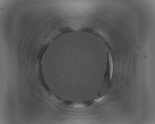 X0000077290221200611031558