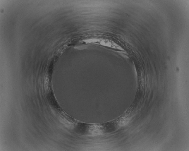 X0000077290222200611031558