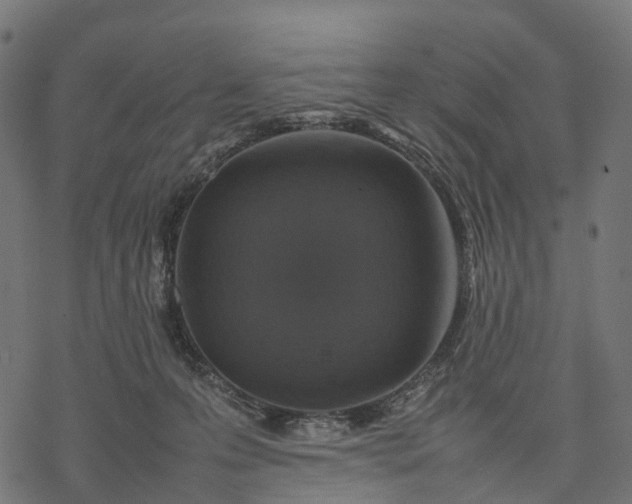 X0000077290223200611031558