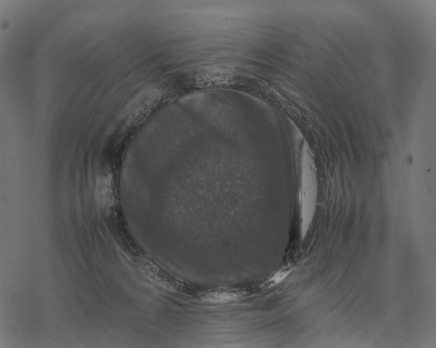 X0000077290224200611031558