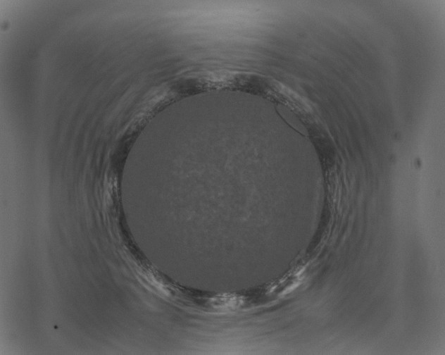 X0000077290225200611031558