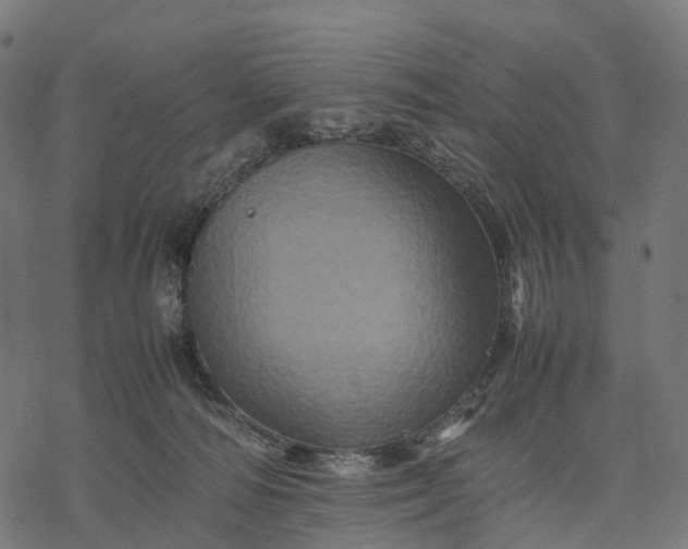 X0000077290226200611031558