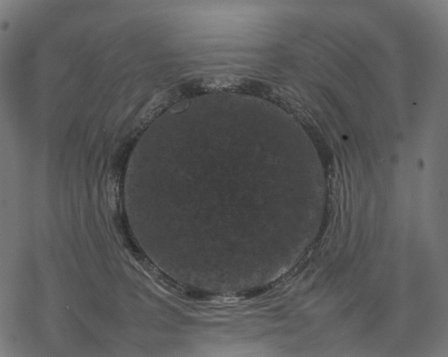 X0000077290227200611031558