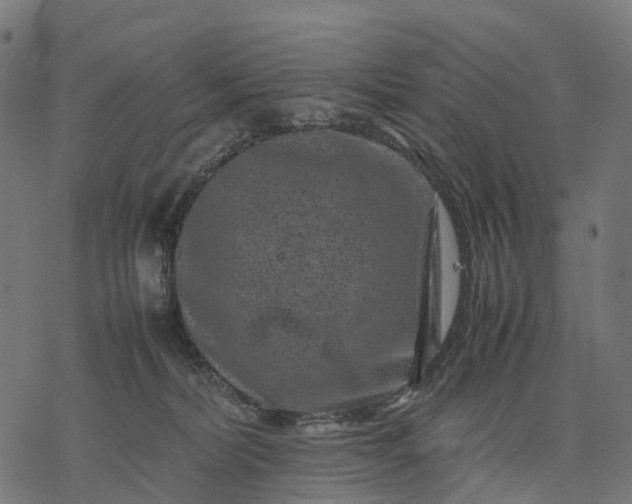 X0000077290228200611031558