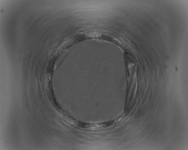 X0000077290229200611031558