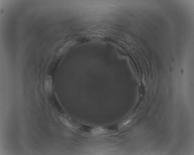 X0000077290231200611031558