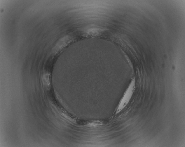 X0000077290232200611031558