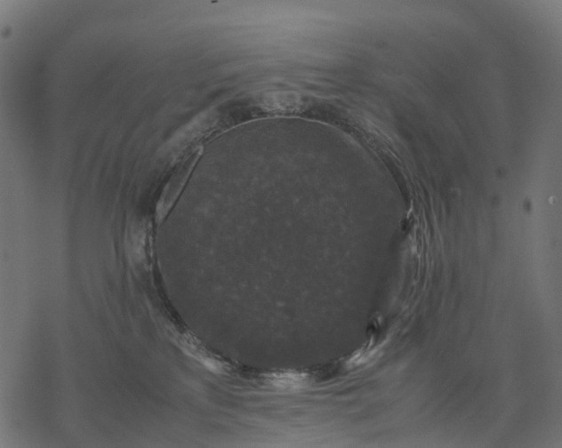 X0000077290233200611031558