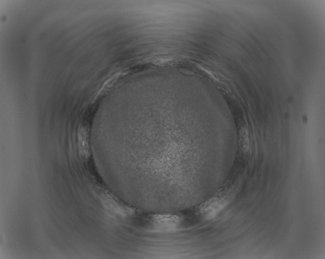 X0000077290234200611031558