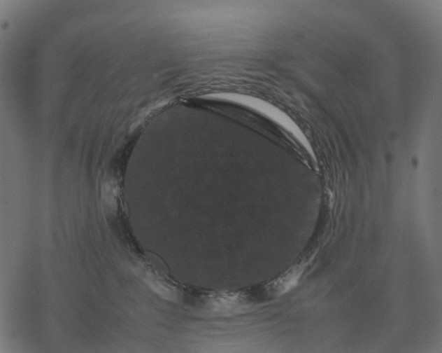 X0000077290235200611031558