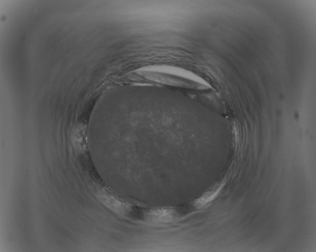 X0000077290237200611031558