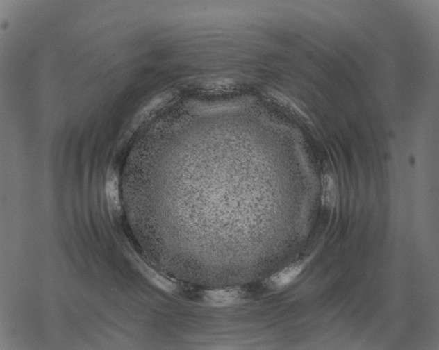 X0000077290238200611031558