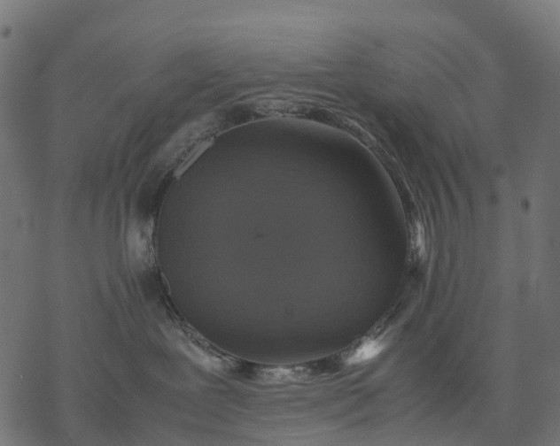 X0000077290239200611031558