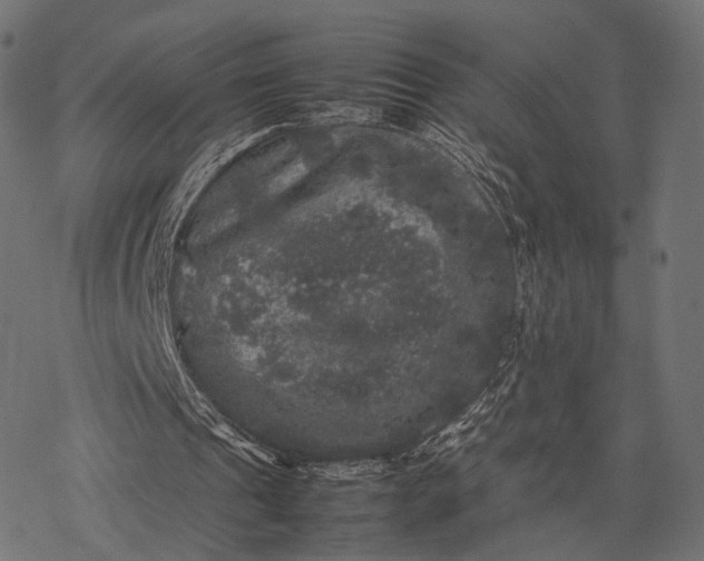 X0000077290241200611031557