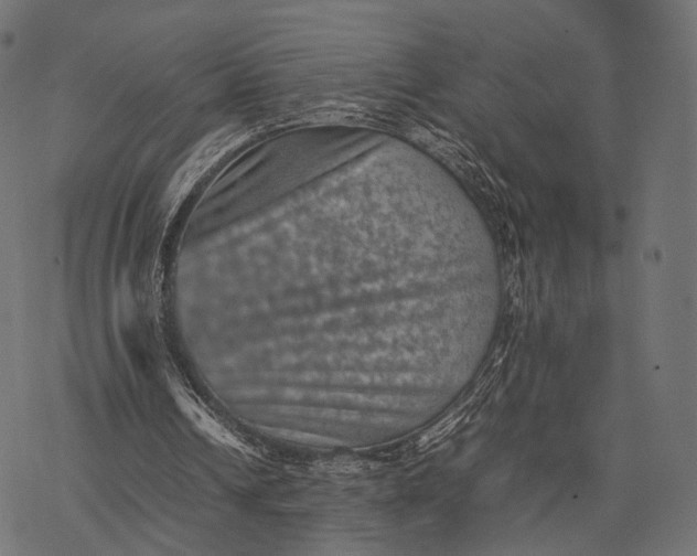 X0000077290242200611031557