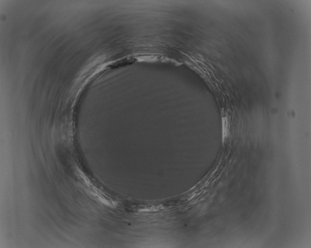 X0000077290243200611031557