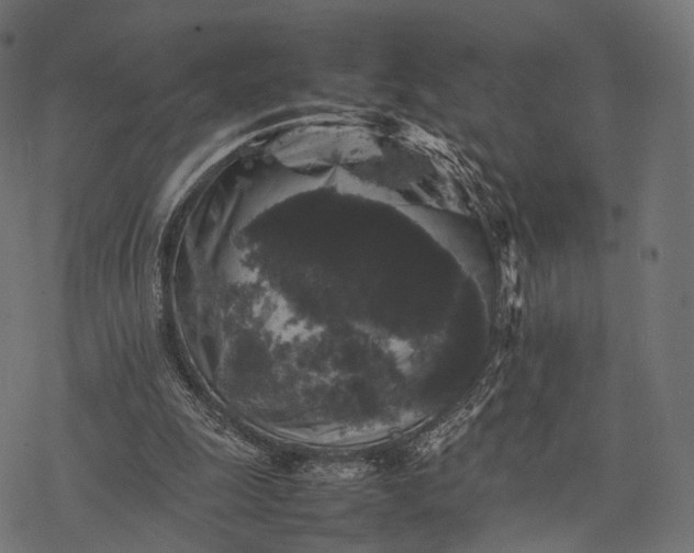 X0000077290247200611031557