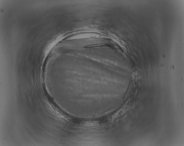 X0000077290248200611031557