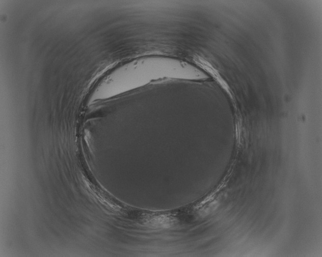 X0000077290249200611031557