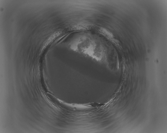 X0000077290250200611031557