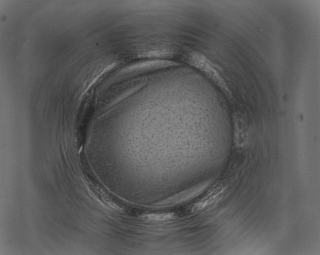 X0000077290251200611031557