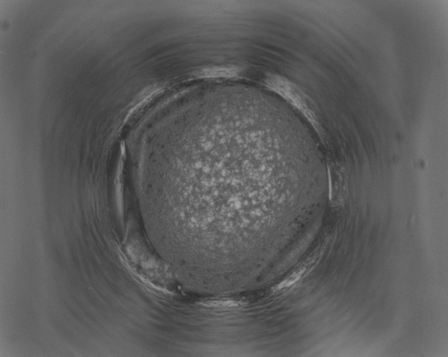 X0000077290253200611031557