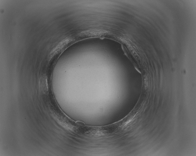 X0000077290254200611031557