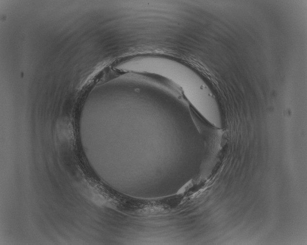 X0000077290256200611031557