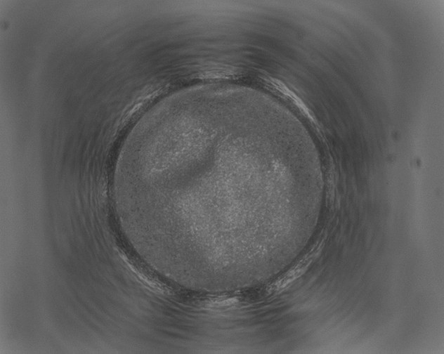 X0000077290257200611031557