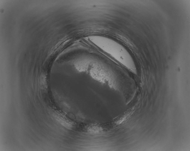 X0000077290258200611031557