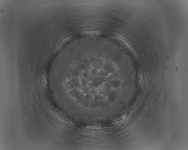 X0000077290259200611031557