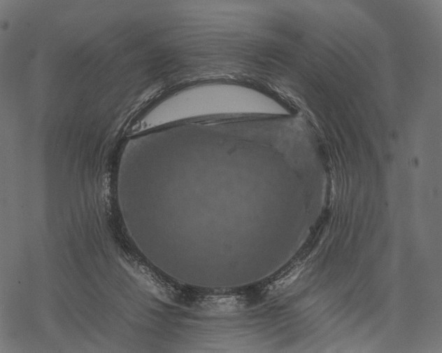 X0000077290260200611031557