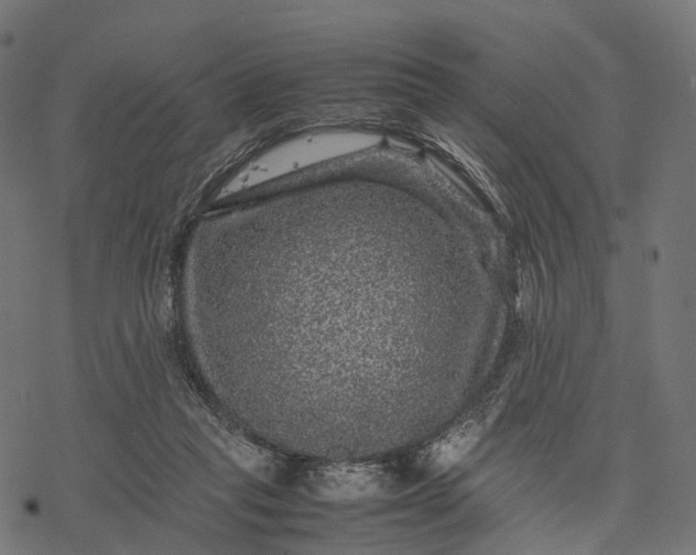 X0000077290261200611031557