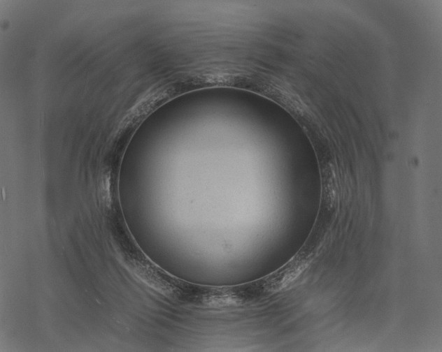 X0000077290262200611031557