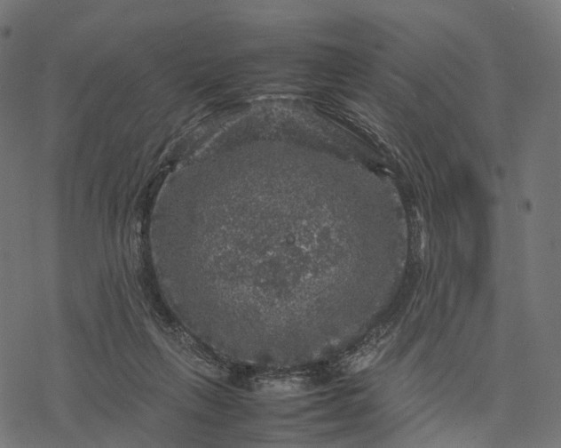 X0000077290263200611031557