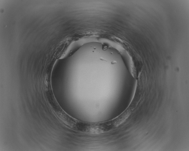 X0000077290264200611031557