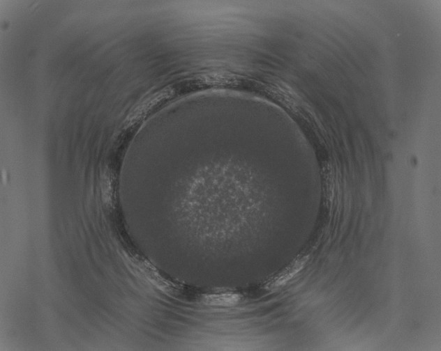 X0000077290266200611031558