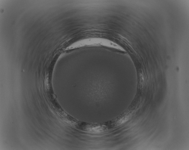 X0000077290267200611031558