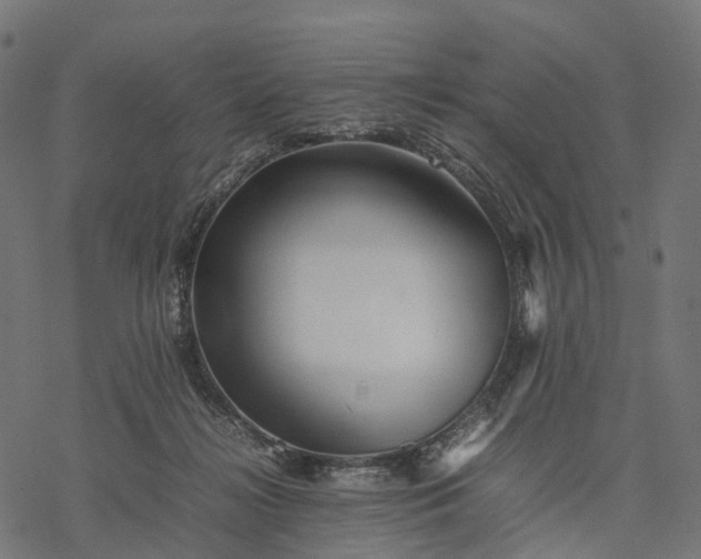 X0000077290268200611031558