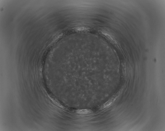 X0000077290269200611031558