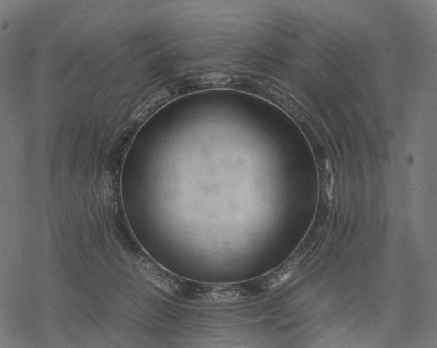 X0000077290270200611031558