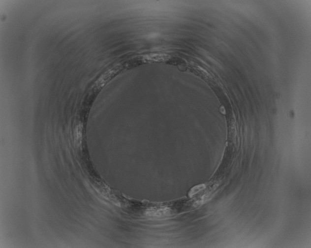 X0000077290271200611031558