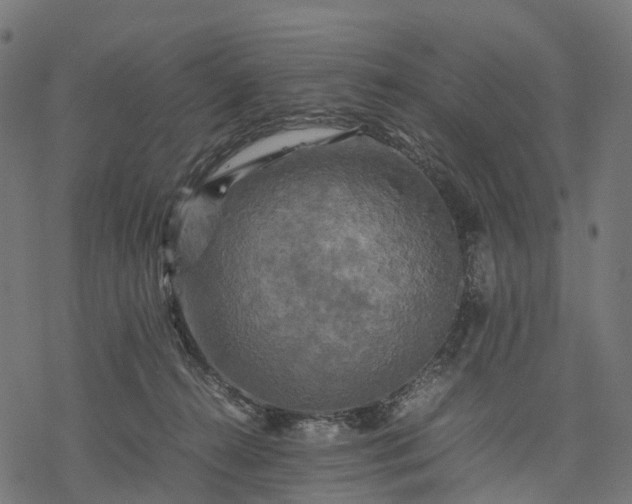 X0000077290272200611031558