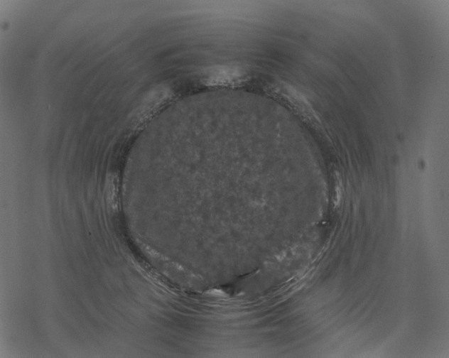 X0000077290273200611031558